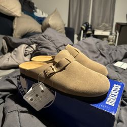 Boston Birkenstocks 