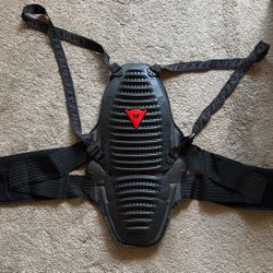 Dainese Wave D1 Back Protector