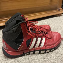Adidas Shoes