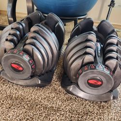 Bowflex Adjustable Weights Up To 90lbs