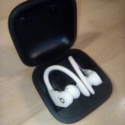 Beats - Powerbeats Pro Totally Wireless Earbuds


