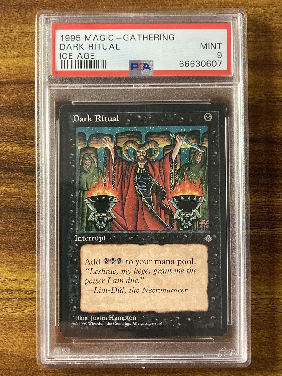 Rare PSA Graded Magic The Gathering 1996 Card Rare PSA Graded Magic The Gathering 1996 Card