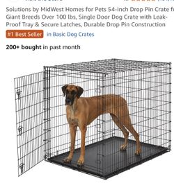 For pets 54 inches tall