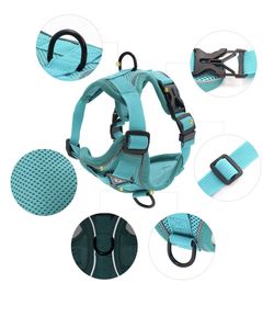 Small Breed Harness And Leash Set
