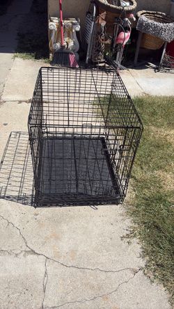 dog cage dog