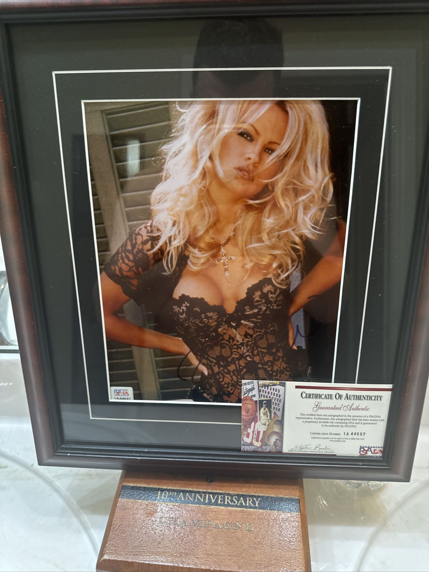 1995 PSA/DNA Certified Framed Pamela Anderson In Black Teddy 11.5 X 9 π€βοΈπ
