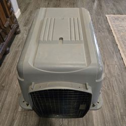 New Enclosed Dog Kennel 