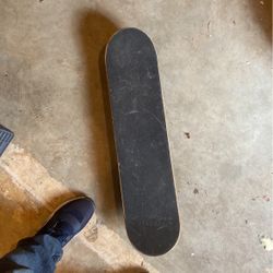 Skate Board 