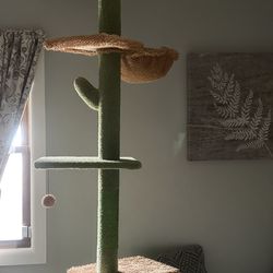 New Cat Tree - Floor to Ceiling