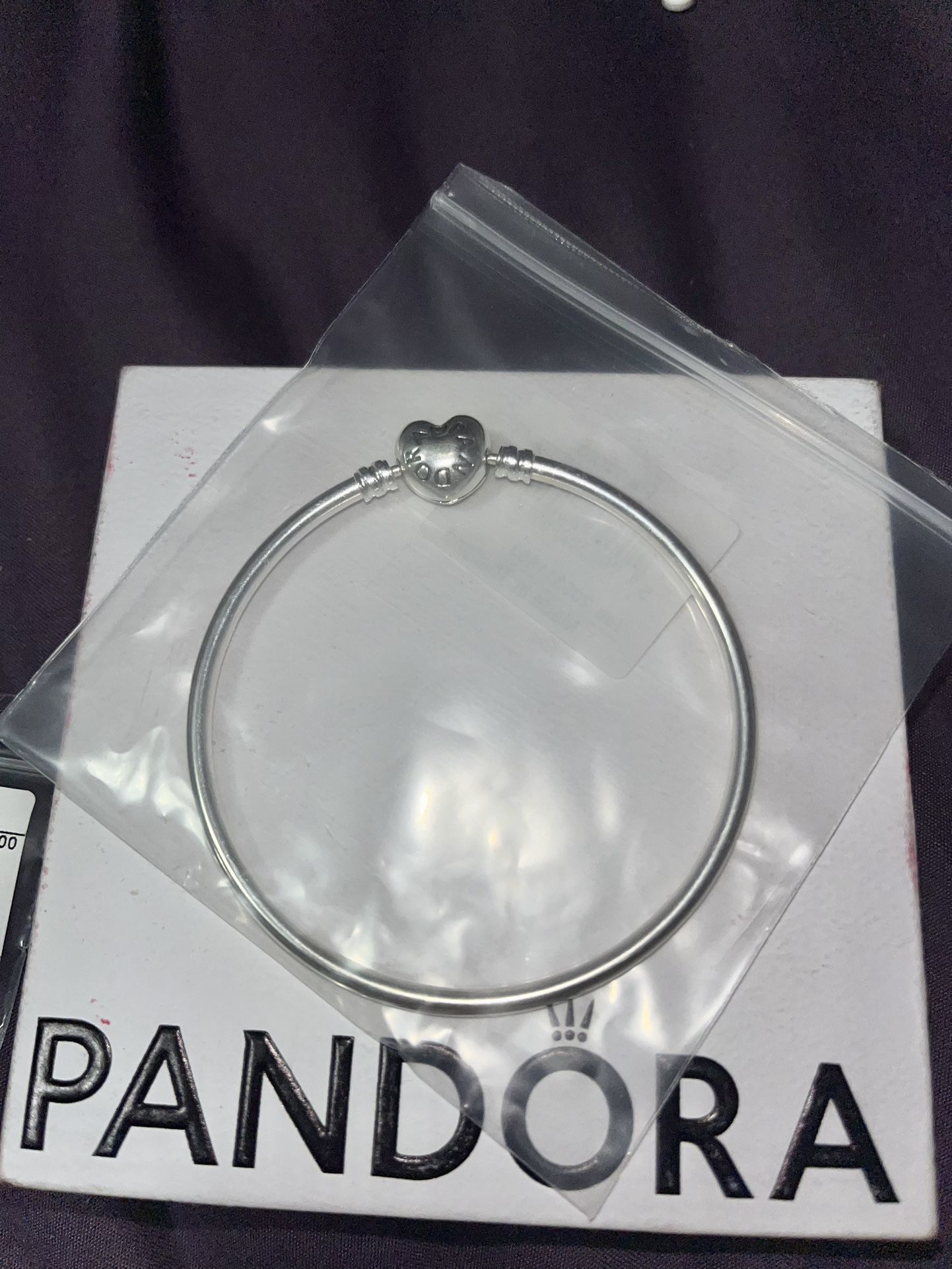 Pandora Bracelet And Charm 