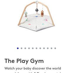 The Play Gym by Lovevery