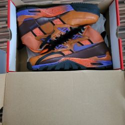 Nike Air Max Trainer SE Bo Jackson, Sz. 9 Good Cond. $125