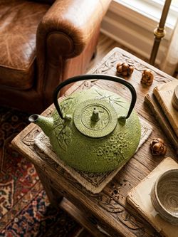 Vintage Japanese Style Green Cast Iron Teapot – Textured Tetsubin Tea Kettle