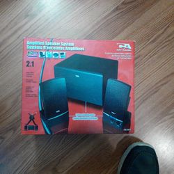 Amplified Speacker System 