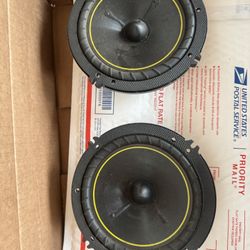 6.5 Door Speakers 