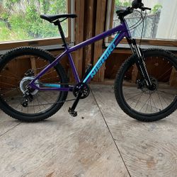 Nishiki Mountain Bike “24”