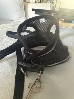 Small Black Mesh Pet Harness with Leash