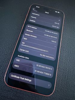 Unlocked 17 pro max
