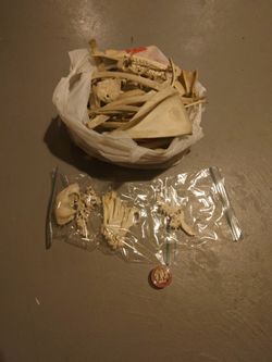 Cleaned Animal Material for Crafting