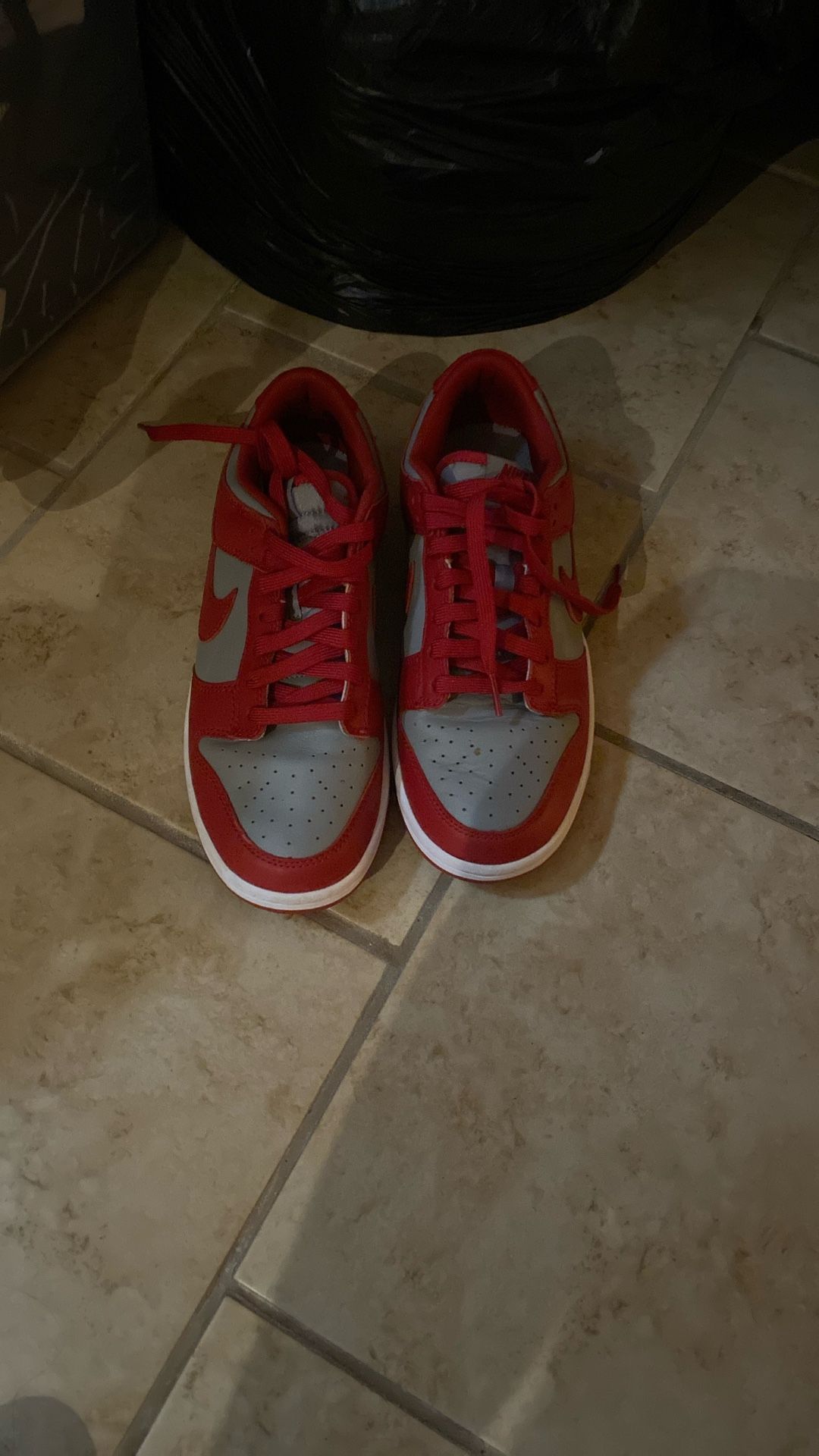 Nike Dunk Low