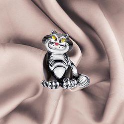 Pandora charms