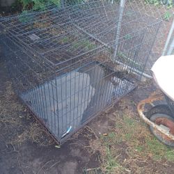 Dog Cage