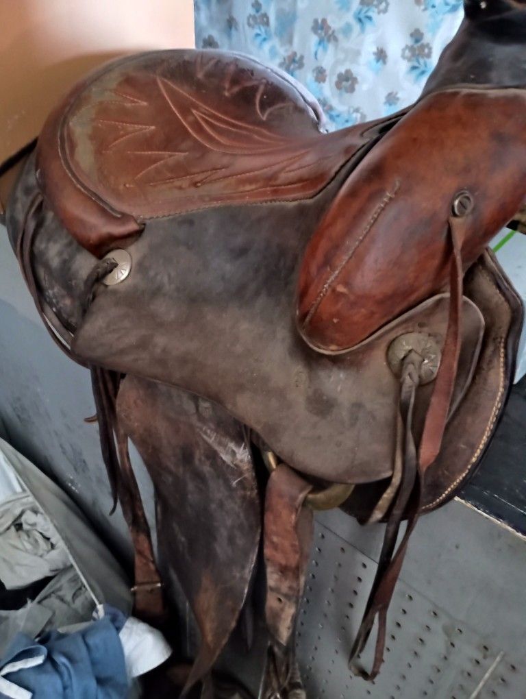 Saddle. For. Teenagers