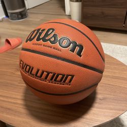 Wilson Evolution Basketball 