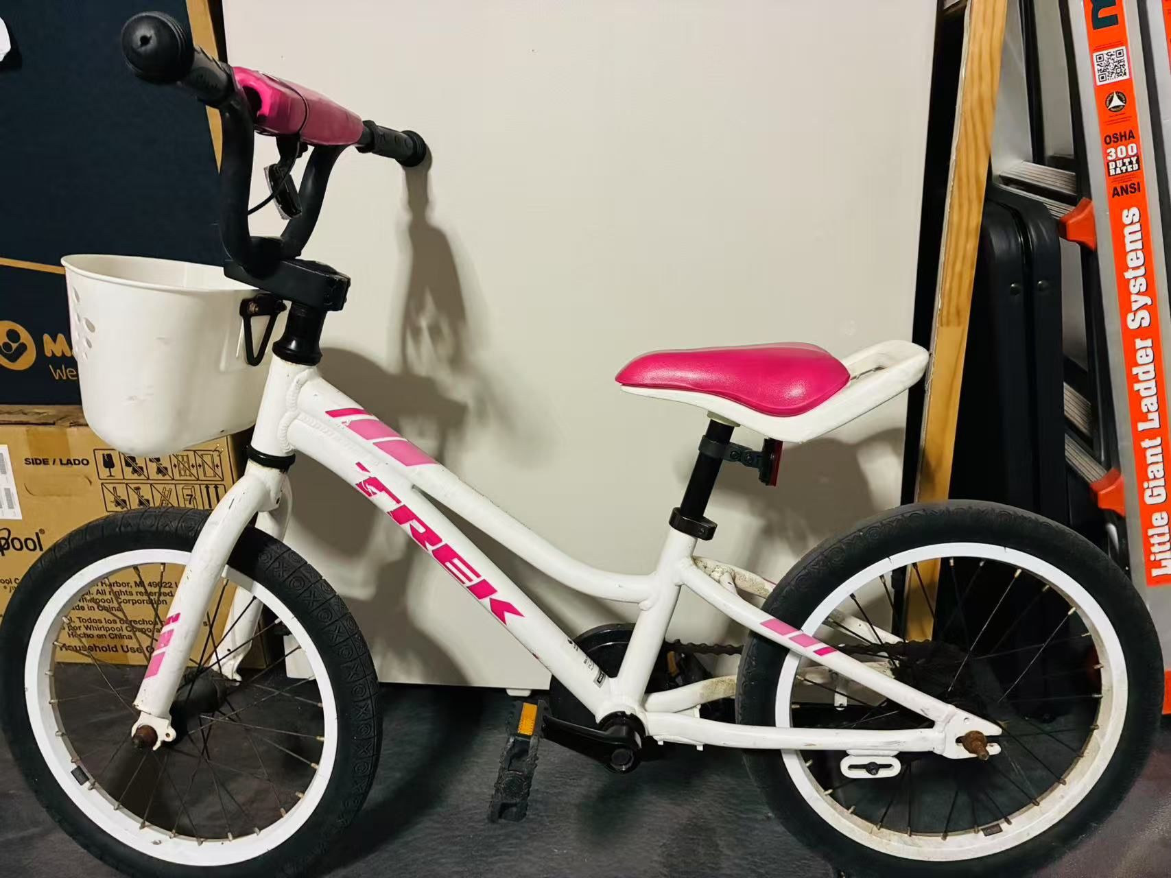 Kids’ Bike trek