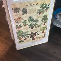 Picture Frame With Plant Poster