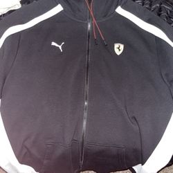 puma
