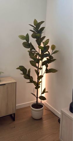 Faux Tree | Rubber Leaf Tree