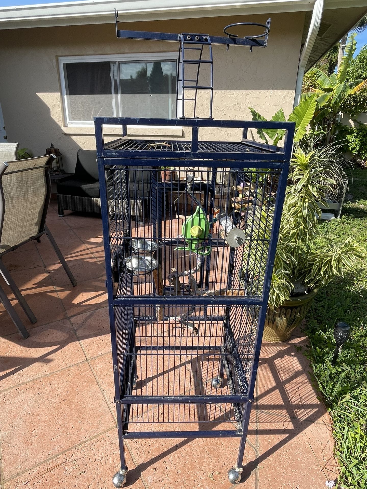 Bird Cage