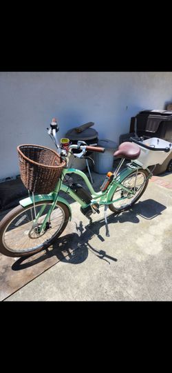 Electra Townie Go! 8D EQ Step-Thru E-Bike w/Bosch Active System - Cute! 🚲💚🩵