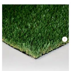 18x12 Piece Of Turf