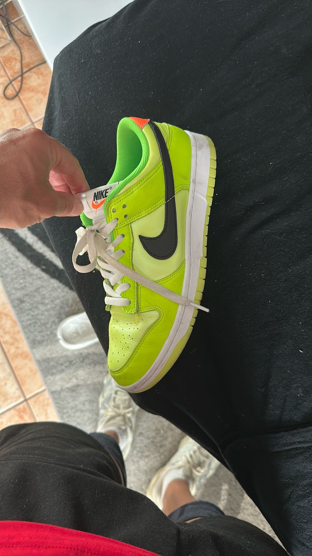 Nike Low Dunk