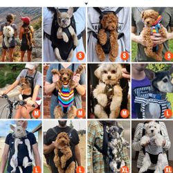 Pawaboo  pet carrier backpack $15