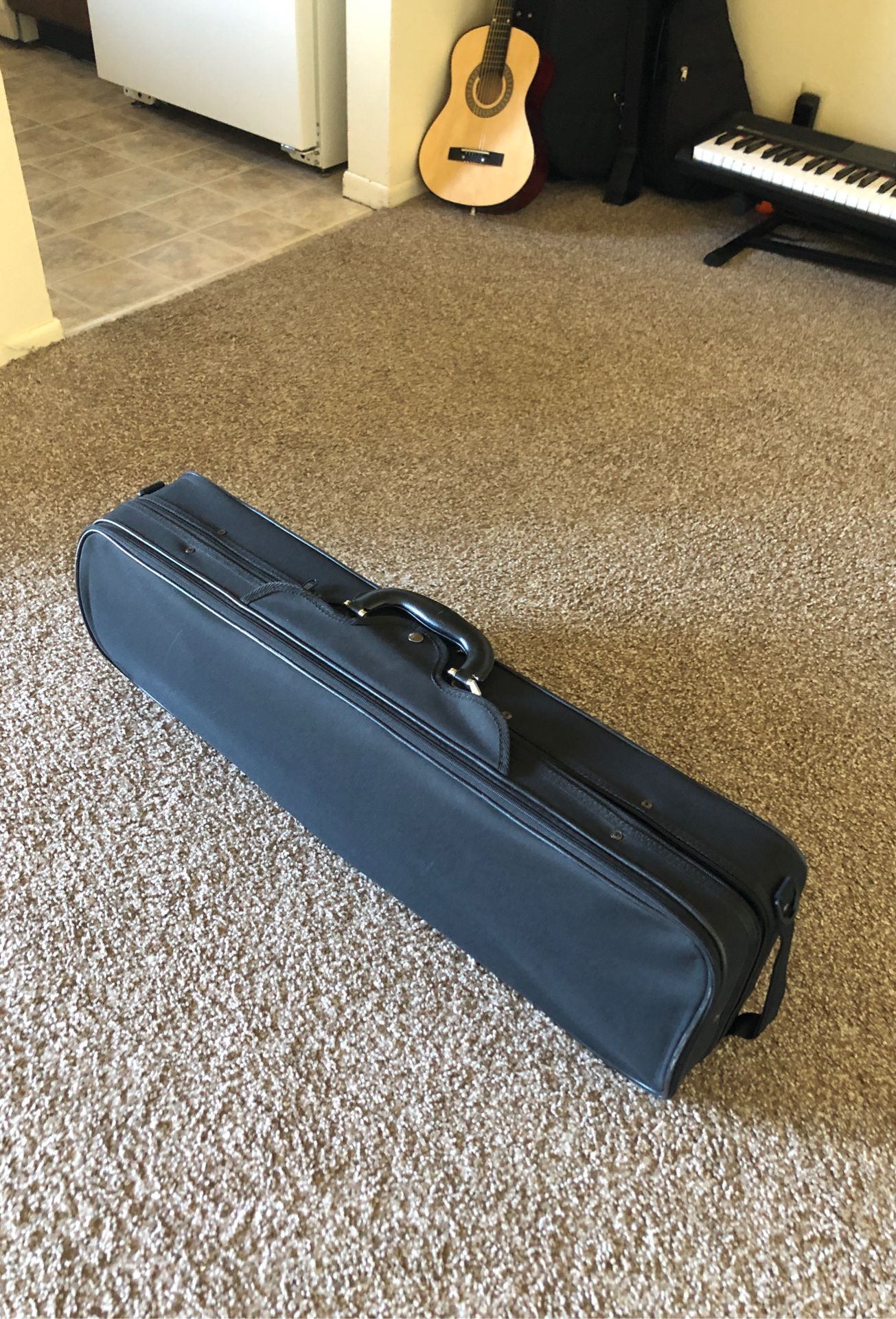 MoMentum violin with case