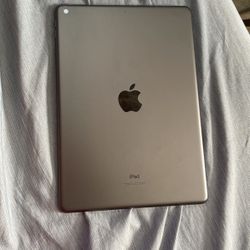 iPad 9th Gen 256GB