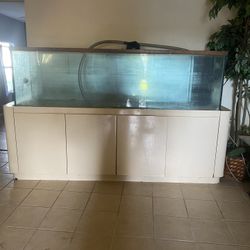 Salt and Fresh Water Fish Tanks