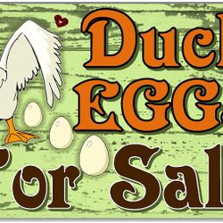Farm Fresh Duck Eggs