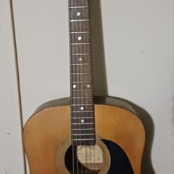 Jasmine Takamine Guitar