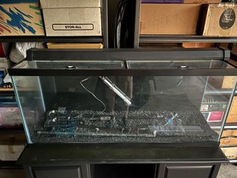 55 Gallon fish/reptile Tank