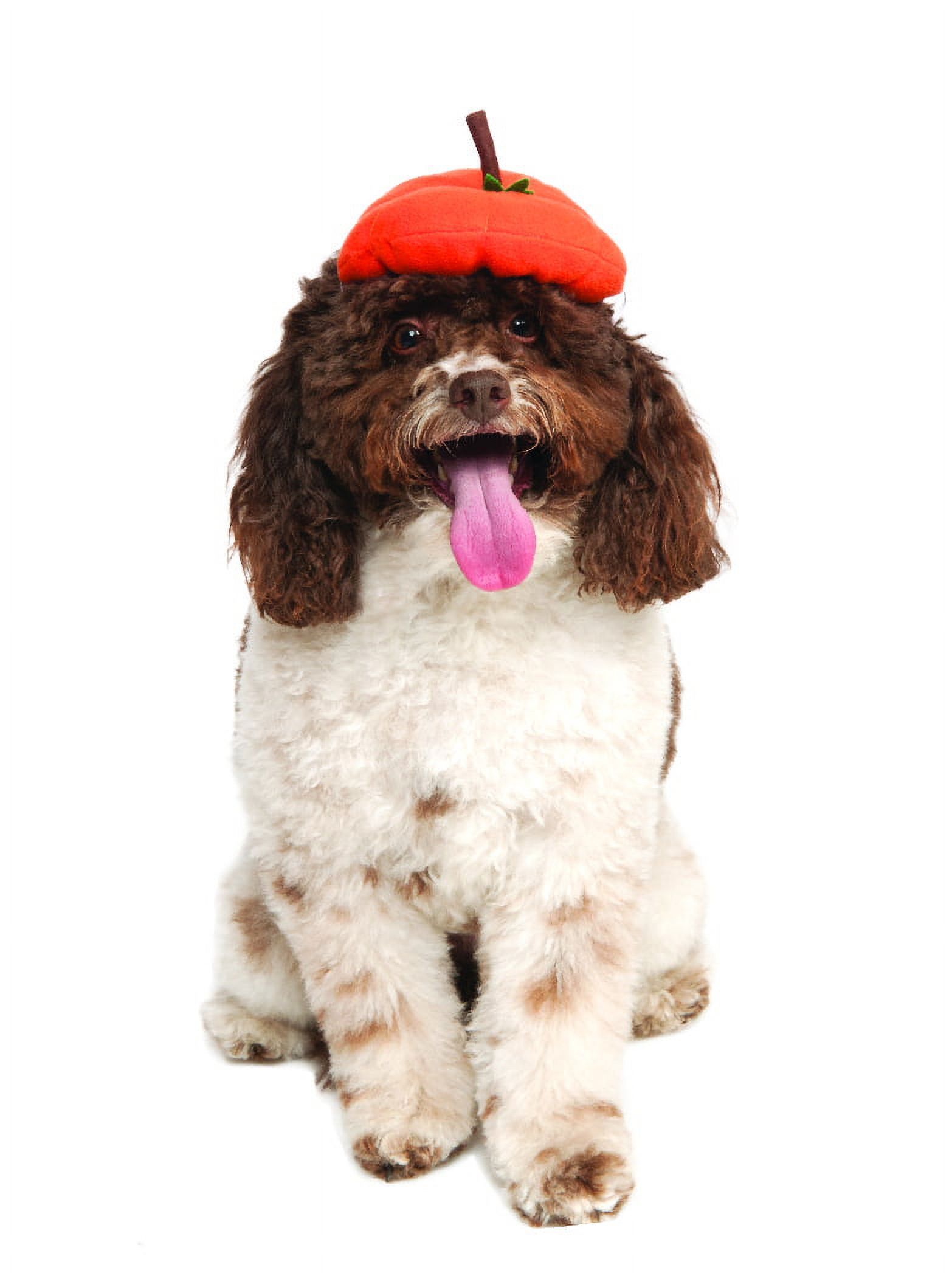 Rubie's Pet Shop Boutique Halloween Hats for Dogs - Pumpkin Beret Size S/M