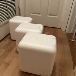 3 Foam Coolers Small