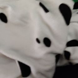 Costume Dalmatian DOG