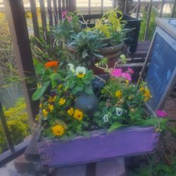 Edible Herbs, Flowers, Tea Garden, Planter GARDEN Box, FARM HOUSE Cottage Garden Flower Garden Box
