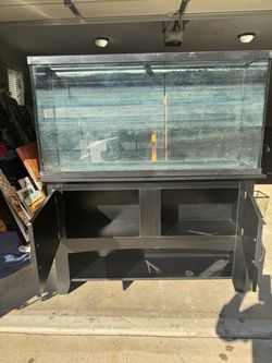 Black wooden stand with two doors and 65 gallon fish tank