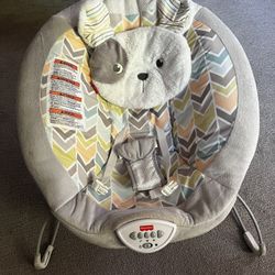 Baby Bouncer