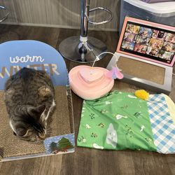 cat toy lot 